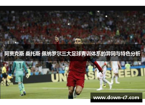 阿贾克斯 桑托斯 佩纳罗尔三大足球青训体系的异同与特色分析