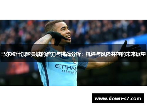 马尔穆什加盟曼城的潜力与挑战分析：机遇与风险并存的未来展望