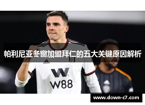 帕利尼亚冬窗加盟拜仁的五大关键原因解析 帕利尼亚冬窗加盟拜仁的五大关键原因解析